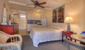 Oceanfront Queen Efficiency Room 28 - Second Floor                  