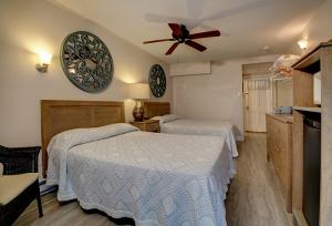 Oceanfront Standard Room 4 - First Floor - Pet Friendly 