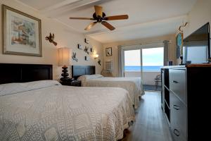 Oceanfront Standard Room 5 - First Floor - Pet Friendly 