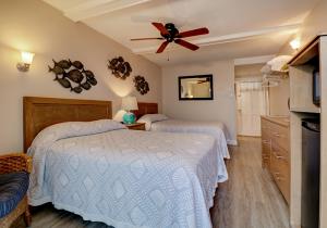 Oceanfront Standard Room 6 - First Floor - Pet Friendly 